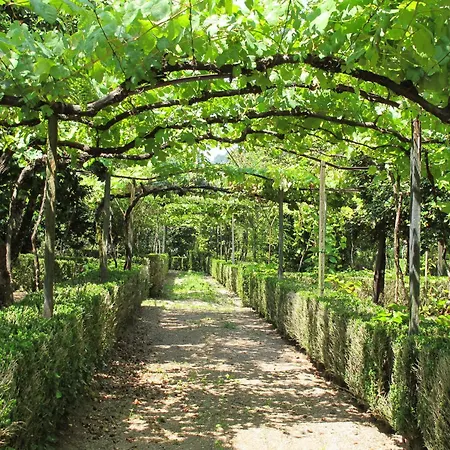 De Ferreira By Interhome Σπίτι διακοπών Ponte de Lima